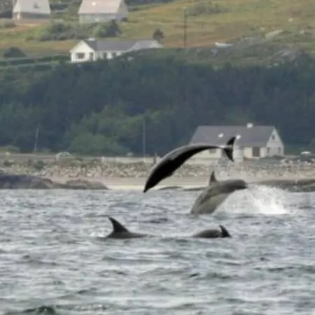 The Town Centre Apartament Dungloe