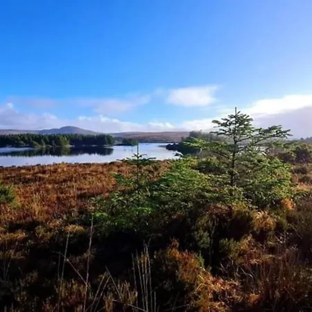 公寓 The Town Centre 邓格洛