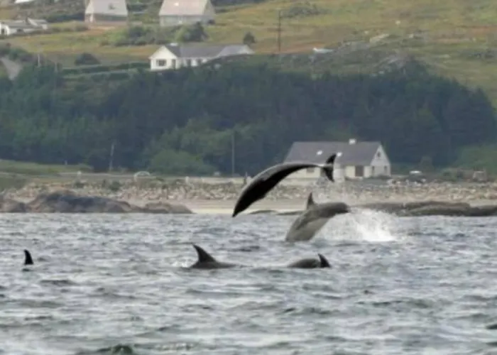The Town Centre Διαμέρισμα Dungloe